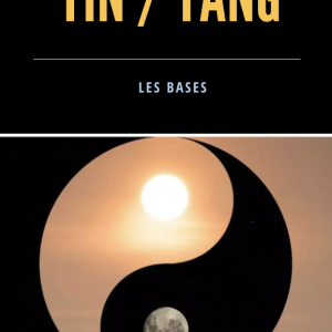 Ebook Yin Yang les bases physique