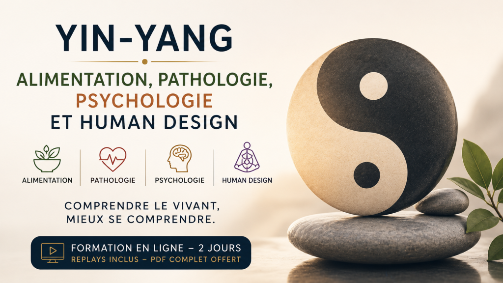 formation deux jours Yin Yang design humain psychologie pathologie