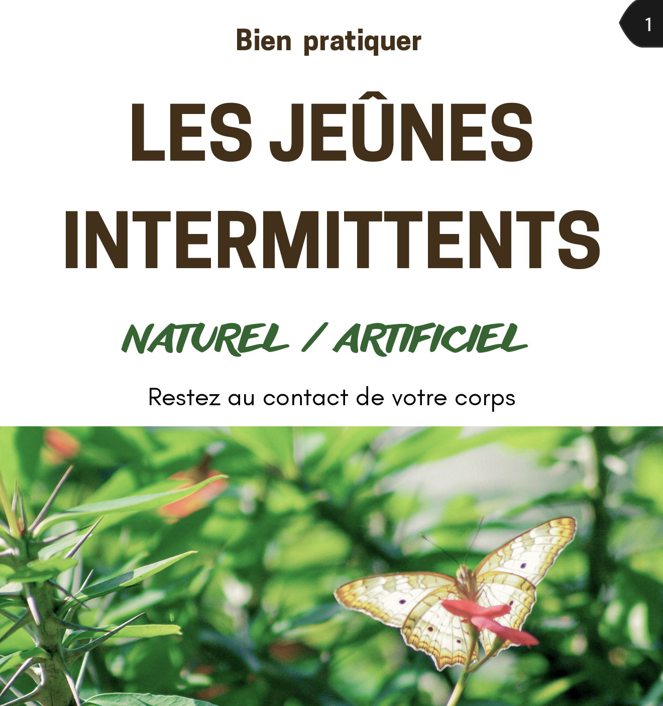 Ebook - Les jeûnes intermittents : Naturel ou artificiel ?