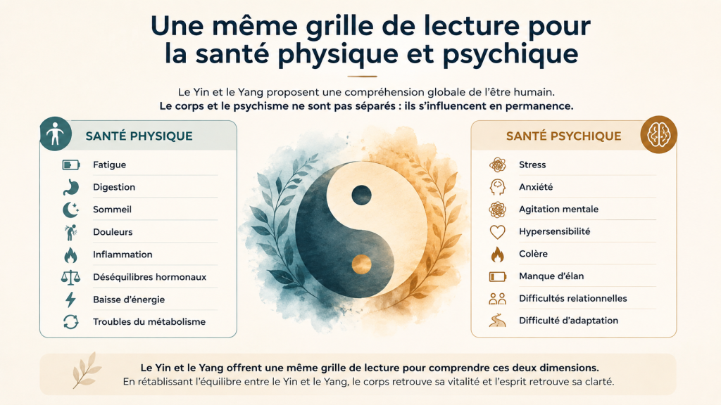 Schéma du Yin et du Yang appliqué à la santé physique et psychique : fatigue, digestion, sommeil, stress, anxiété, émotions, équilibre du vivant.